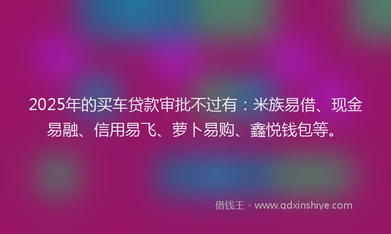 2025年的买车贷款审批不过有：米族易借、现金易融、信用易飞、萝卜易购、鑫悦钱包等。