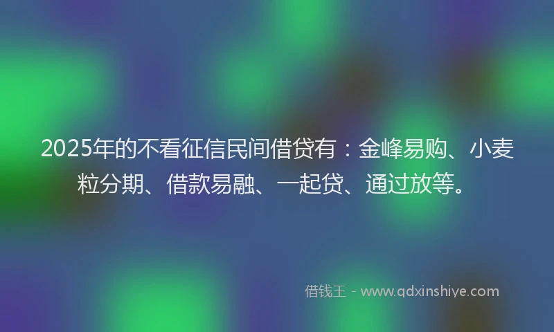 2025年的不看征信民间借贷有：金峰易购、小麦粒分期、借款易融、一起贷、通过放等。