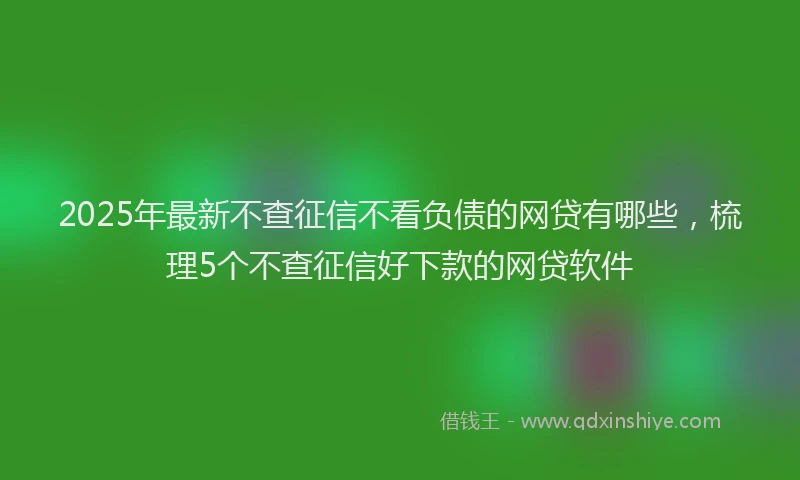 2025年最新不查征信不看负债的网贷有哪些，梳理5个不查征信好下款的网贷软件