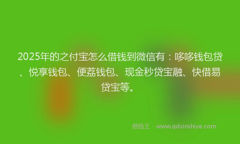 2025年的之付宝怎么借钱到微信有：哆哆钱包贷、悦享钱包、便荔钱包、现金秒贷宝融、快借易贷宝等。