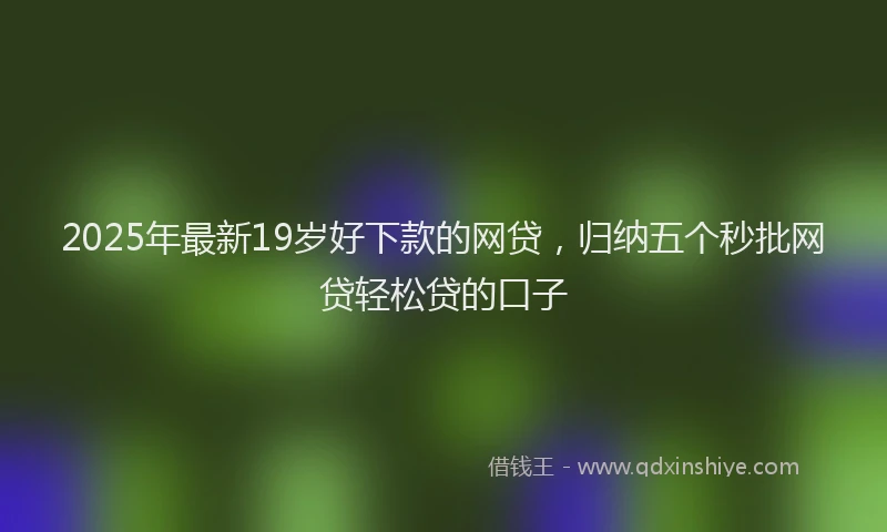2025年最新19岁好下款的网贷，归纳五个秒批网贷轻松贷的口子