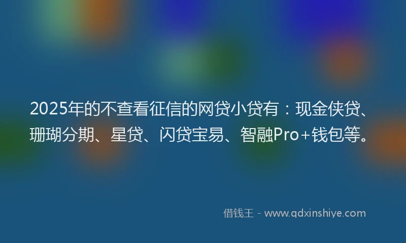 2025年的不查看征信的网贷小贷有：现金侠贷、珊瑚分期、星贷、闪贷宝易、智融Pro+钱包等。