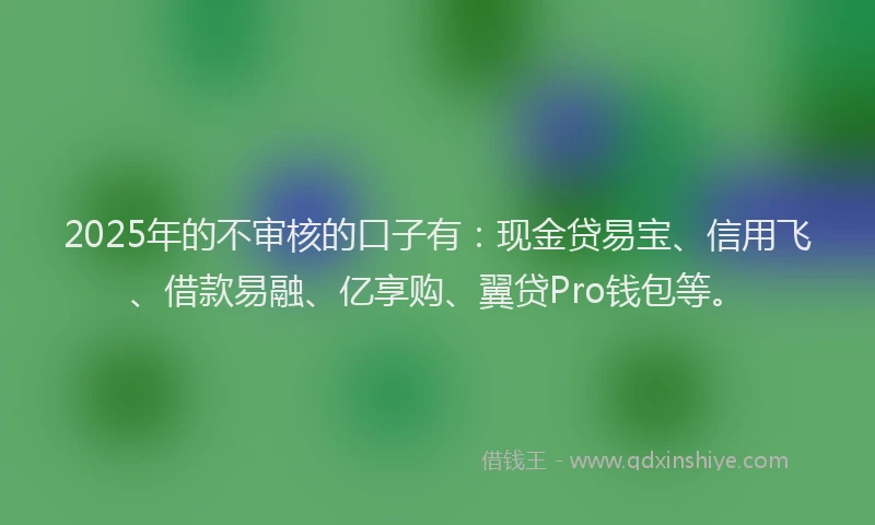 2025年的不审核的口子有：现金贷易宝、信用飞、借款易融、亿享购、翼贷Pro钱包等。