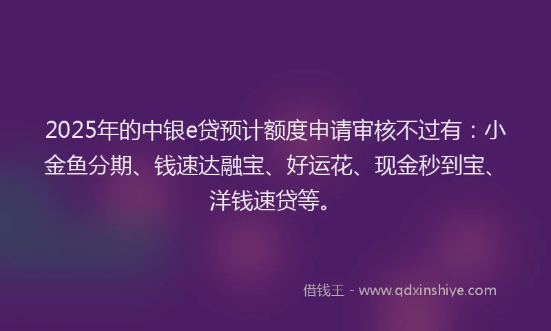 2025年的中银e贷预计额度申请审核不过有：小金鱼分期、钱速达融宝、好运花、现金秒到宝、洋钱速贷等。