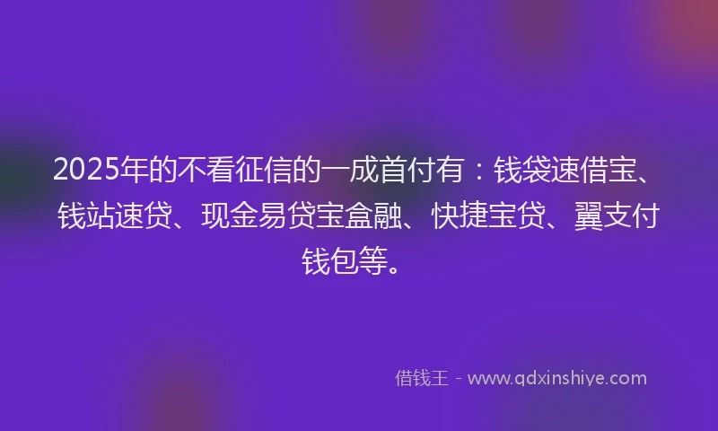 2025年的不看征信的一成首付有：钱袋速借宝、钱站速贷、现金易贷宝盒融、快捷宝贷、翼支付钱包等。