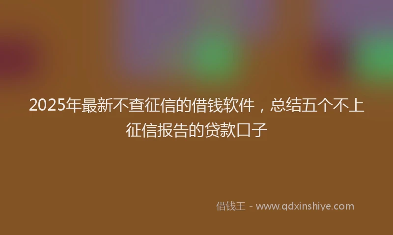 2025年最新不查征信的借钱软件，总结五个不上征信报告的贷款口子