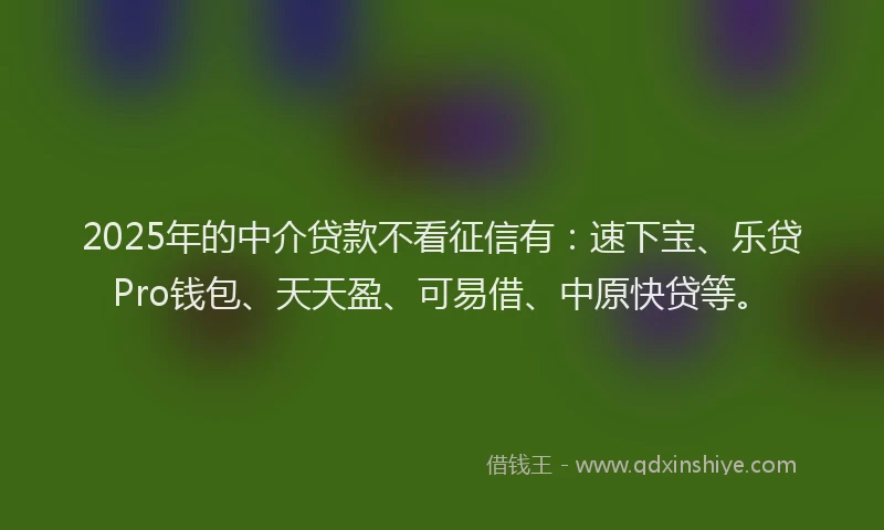 2025年的中介贷款不看征信有：速下宝、乐贷Pro钱包、天天盈、可易借、中原快贷等。