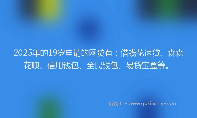 2025年的19岁申请的网贷有：借钱花速贷、森森花呗、信用钱包、全民钱包、易贷宝盒等。