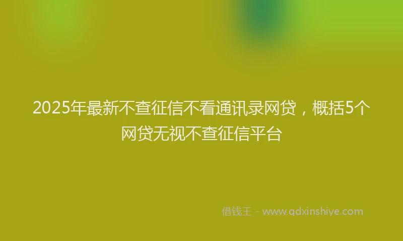 2025年最新不查征信不看通讯录网贷，概括5个网贷无视不查征信平台