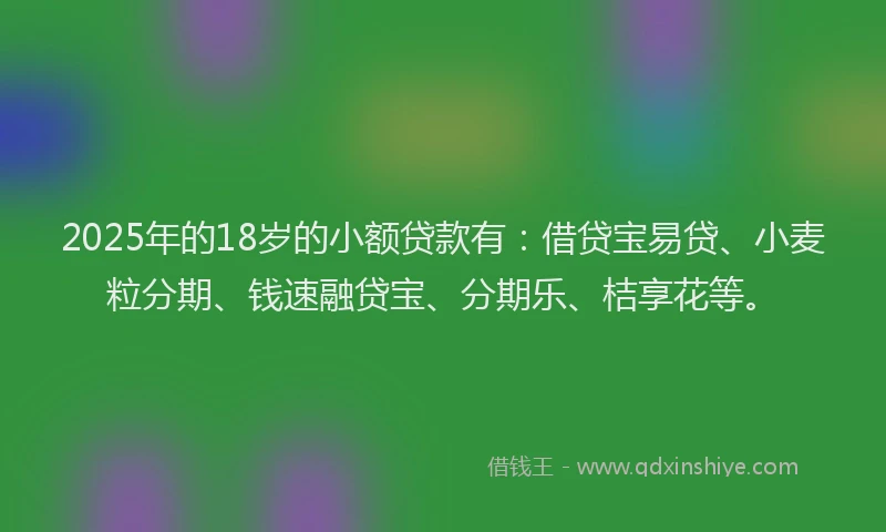 2025年的18岁的小额贷款有：借贷宝易贷、小麦粒分期、钱速融贷宝、分期乐、桔享花等。