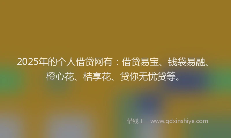 2025年的个人借贷网有：借贷易宝、钱袋易融、橙心花、桔享花、贷你无忧贷等。