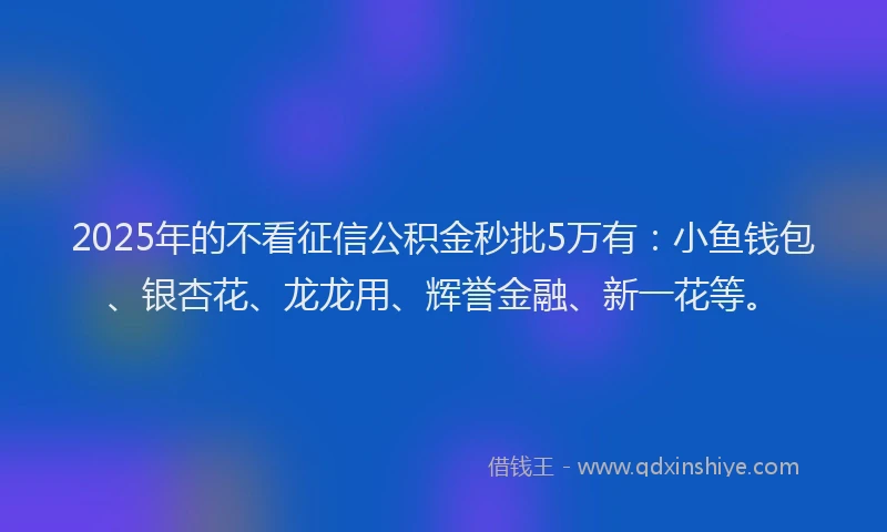 2025年的不看征信公积金秒批5万有：小鱼钱包、银杏花、龙龙用、辉誉金融、新一花等。