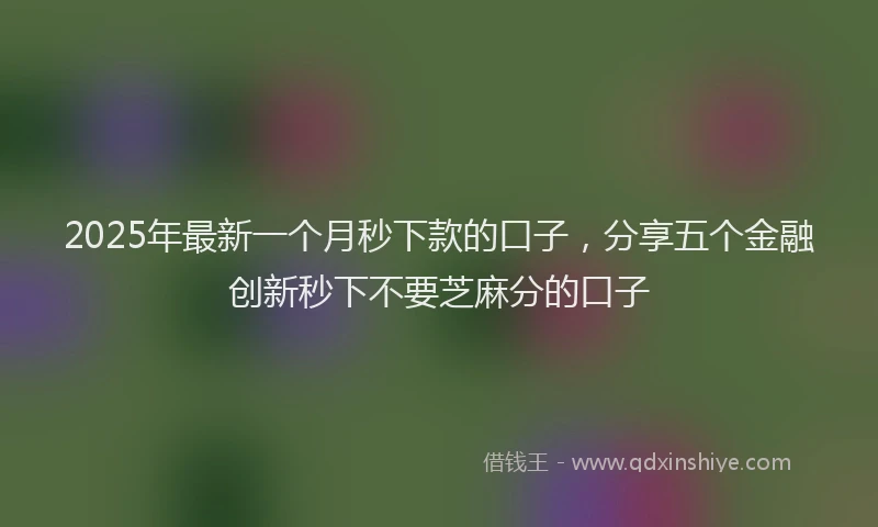 2025年最新一个月秒下款的口子，分享五个金融创新秒下不要芝麻分的口子