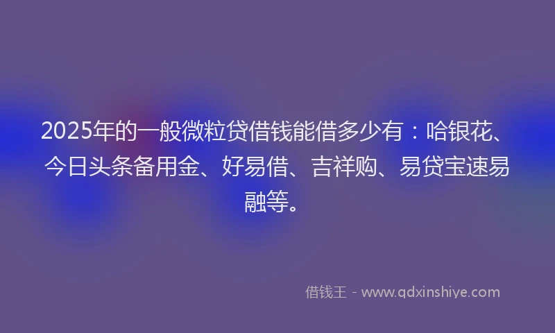 2025年的一般微粒贷借钱能借多少有：哈银花、今日头条备用金、好易借、吉祥购、易贷宝速易融等。