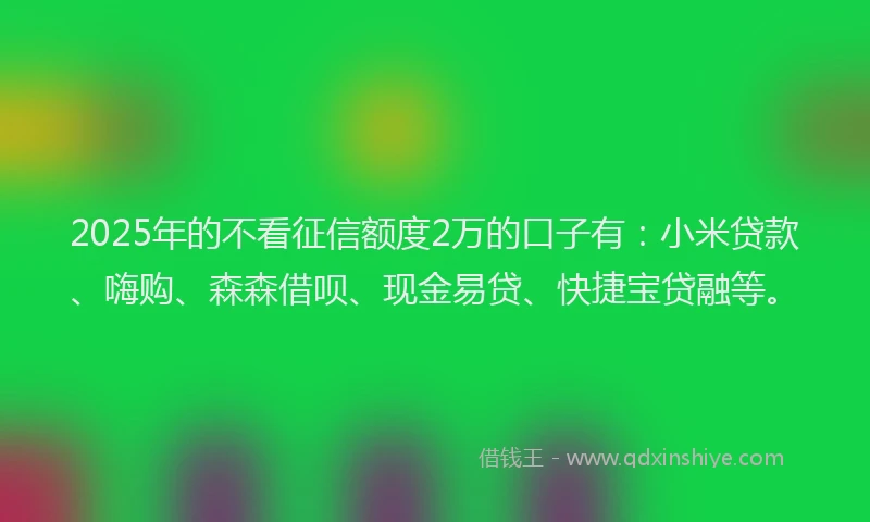 2025年的不看征信额度2万的口子有：小米贷款、嗨购、森森借呗、现金易贷、快捷宝贷融等。