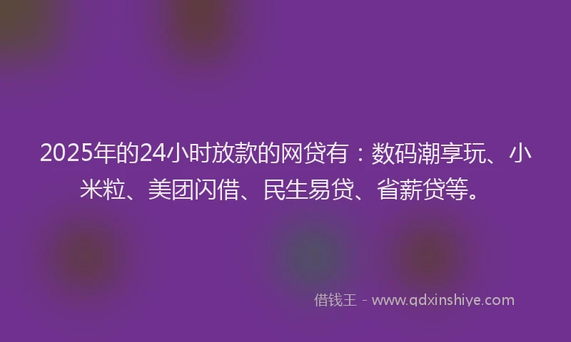 2025年的24小时放款的网贷有：数码潮享玩、小米粒、美团闪借、民生易贷、省薪贷等。