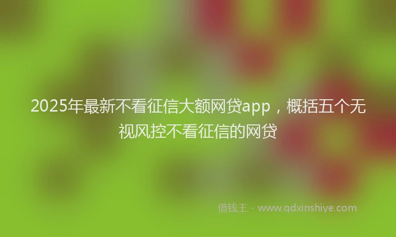 2025年最新不看征信大额网贷app，概括五个无视风控不看征信的网贷