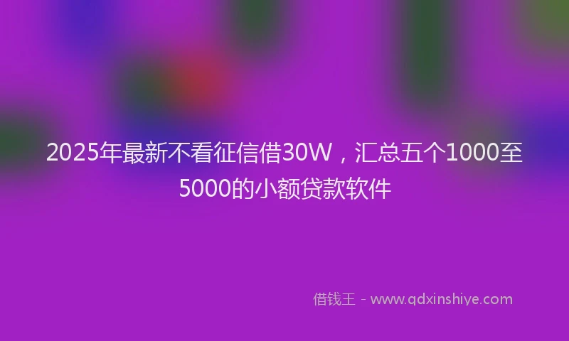 2025年最新不看征信借30W，汇总五个1000至5000的小额贷款软件