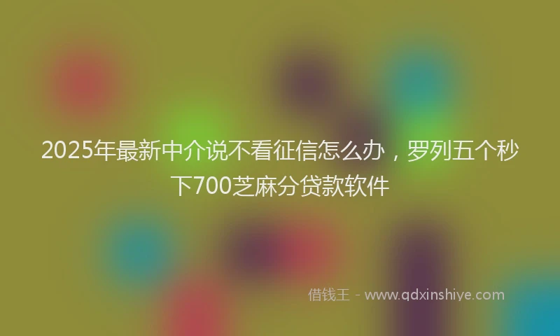 2025年最新中介说不看征信怎么办，罗列五个秒下700芝麻分贷款软件