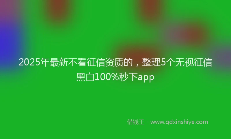 2025年最新不看征信资质的，整理5个无视征信黑白100%秒下app