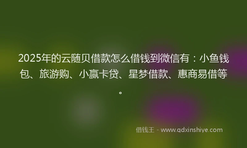 2025年的云随贝借款怎么借钱到微信有：小鱼钱包、旅游购、小赢卡贷、星梦借款、惠商易借等。