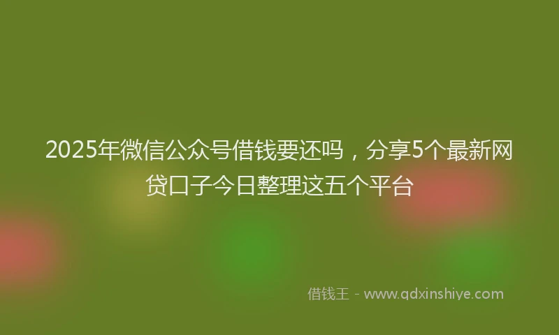 2025年微信公众号借钱要还吗，分享5个最新网贷口子今日整理这五个平台