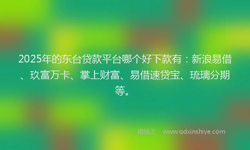 2025年的东台贷款平台哪个好下款有：新浪易借、玖富万卡、掌上财富、易借速贷宝、琉璃分期等。