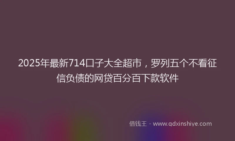 2025年最新714口子大全超市，罗列五个不看征信负债的网贷百分百下款软件
