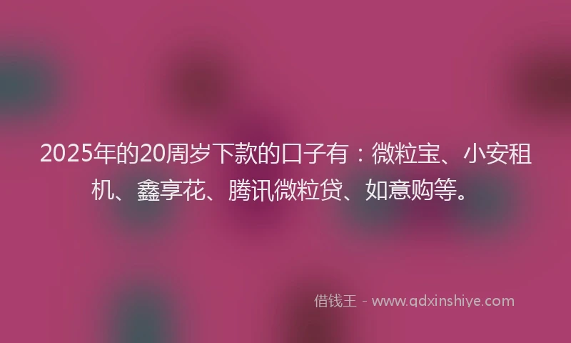 2025年的20周岁下款的口子有：微粒宝、小安租机、鑫享花、腾讯微粒贷、如意购等。