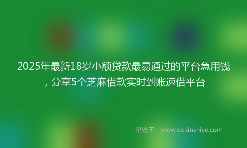2025年最新18岁小额贷款最易通过的平台急用钱，分享5个芝麻借款实时到账速借平台