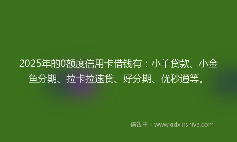 2025年的0额度信用卡借钱有：小羊贷款、小金鱼分期、拉卡拉速贷、好分期、优秒通等。
