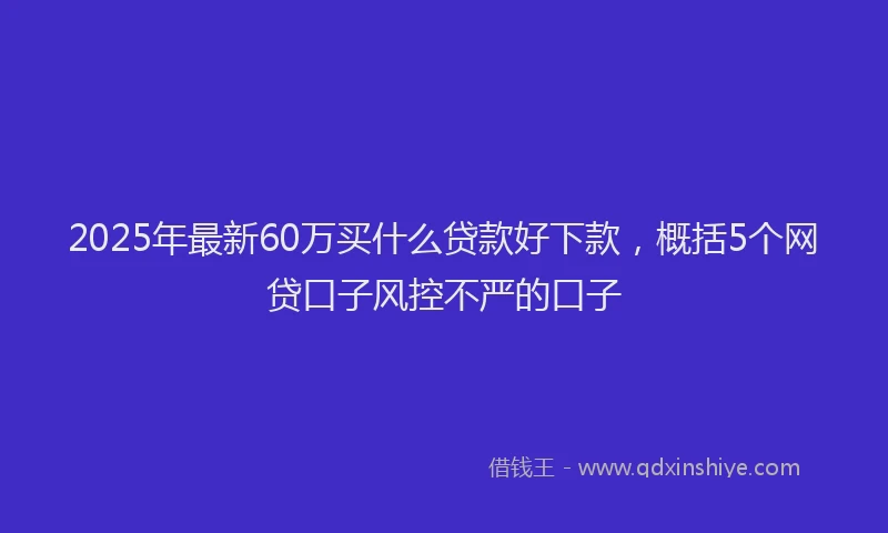2025年最新60万买什么贷款好下款，概括5个网贷口子风控不严的口子