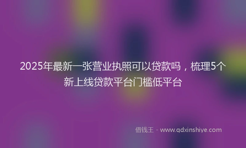 2025年最新一张营业执照可以贷款吗，梳理5个新上线贷款平台门槛低平台
