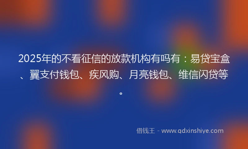 2025年的不看征信的放款机构有吗有：易贷宝盒、翼支付钱包、疾风购、月亮钱包、维信闪贷等。