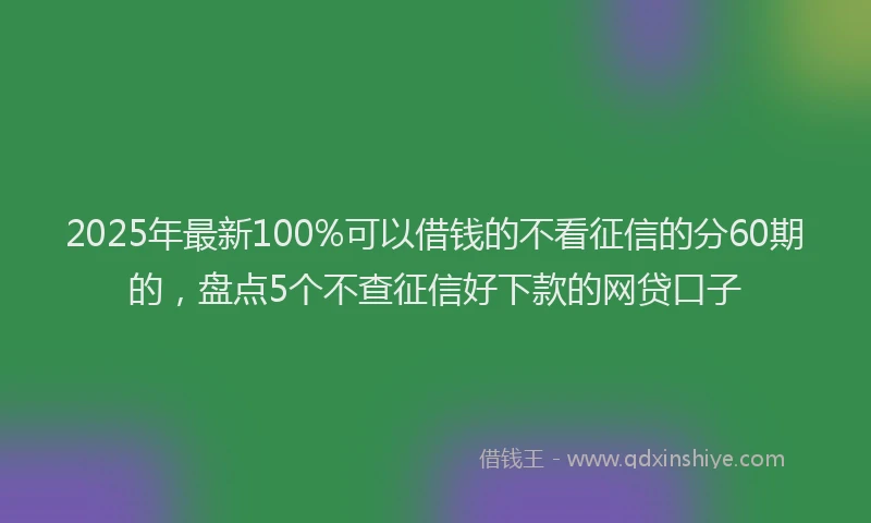 2025年最新100%可以借钱的不看征信的分60期的，盘点5个不查征信好下款的网贷口子