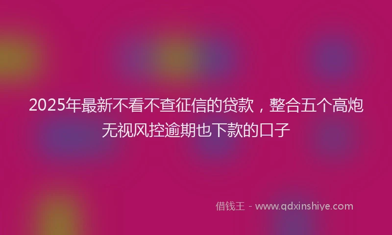 2025年最新不看不查征信的贷款，整合五个高炮无视风控逾期也下款的口子