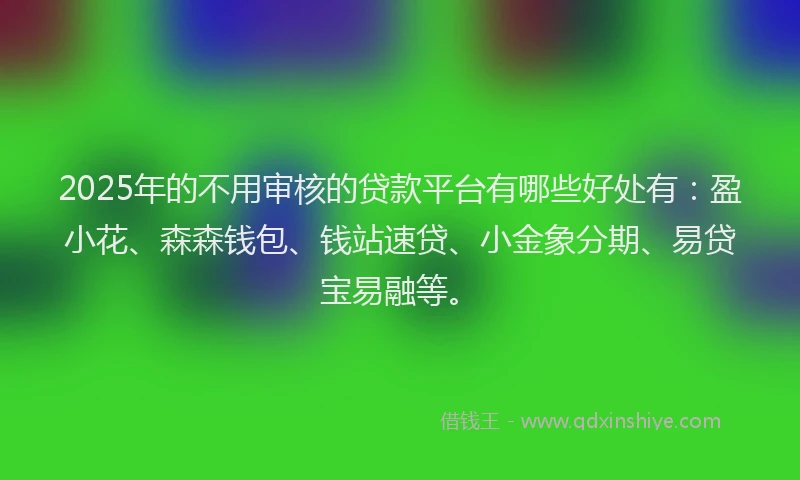 2025年的不用审核的贷款平台有哪些好处有：盈小花、森森钱包、钱站速贷、小金象分期、易贷宝易融等。