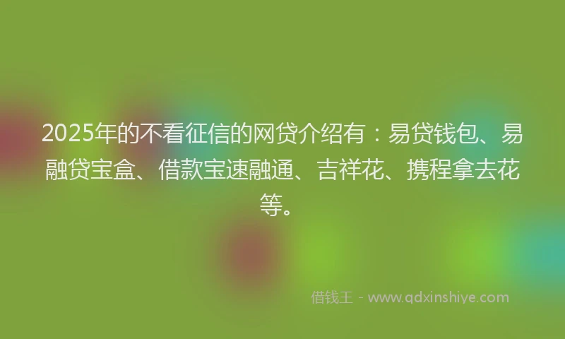 2025年的不看征信的网贷介绍有：易贷钱包、易融贷宝盒、借款宝速融通、吉祥花、携程拿去花等。