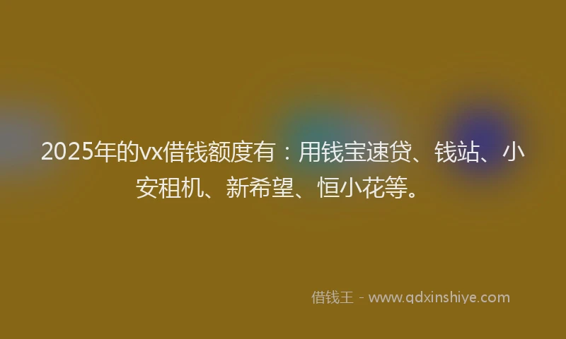 2025年的vx借钱额度有：用钱宝速贷、钱站、小安租机、新希望、恒小花等。