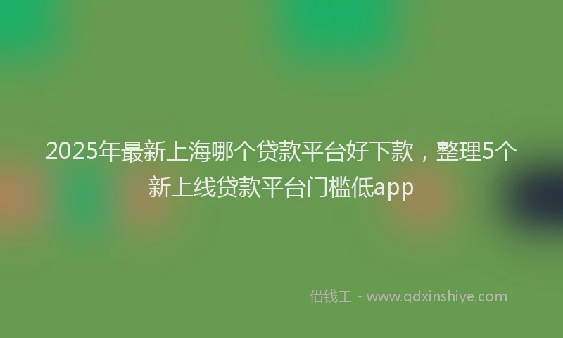 2025年最新上海哪个贷款平台好下款，整理5个新上线贷款平台门槛低app