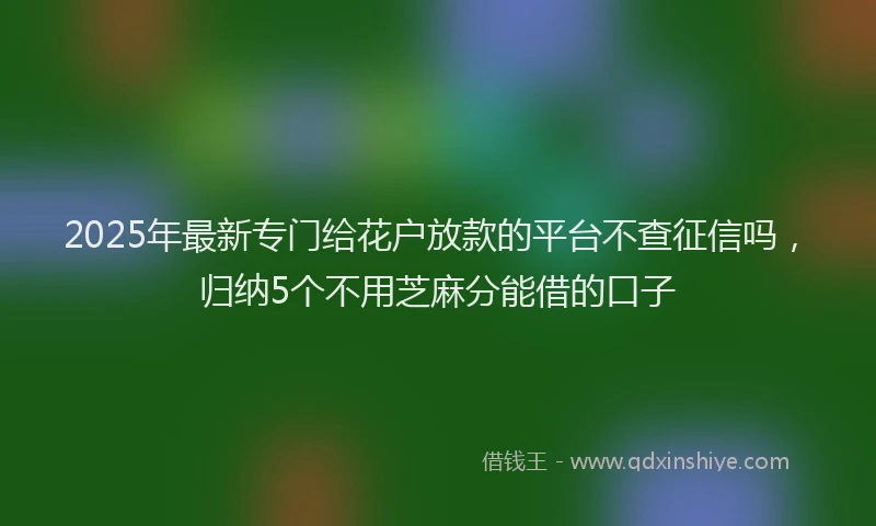 2025年最新专门给花户放款的平台不查征信吗，归纳5个不用芝麻分能借的口子