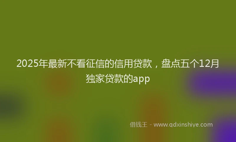 2025年最新不看征信的信用贷款，盘点五个12月独家贷款的app