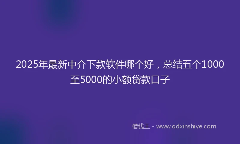 2025年最新中介下款软件哪个好，总结五个1000至5000的小额贷款口子