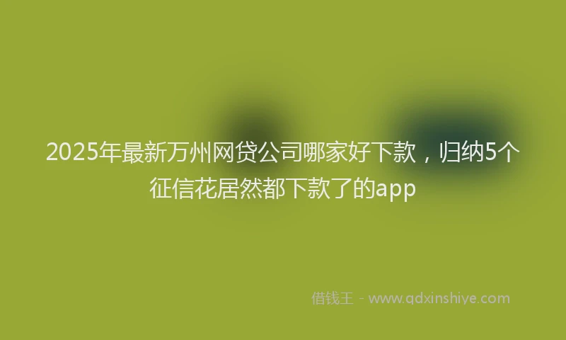 2025年最新万州网贷公司哪家好下款，归纳5个征信花居然都下款了的app