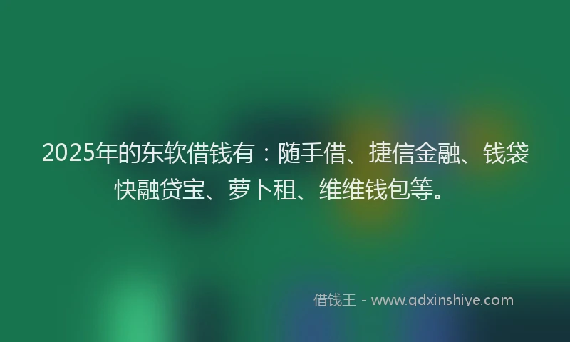 2025年的东软借钱有：随手借、捷信金融、钱袋快融贷宝、萝卜租、维维钱包等。