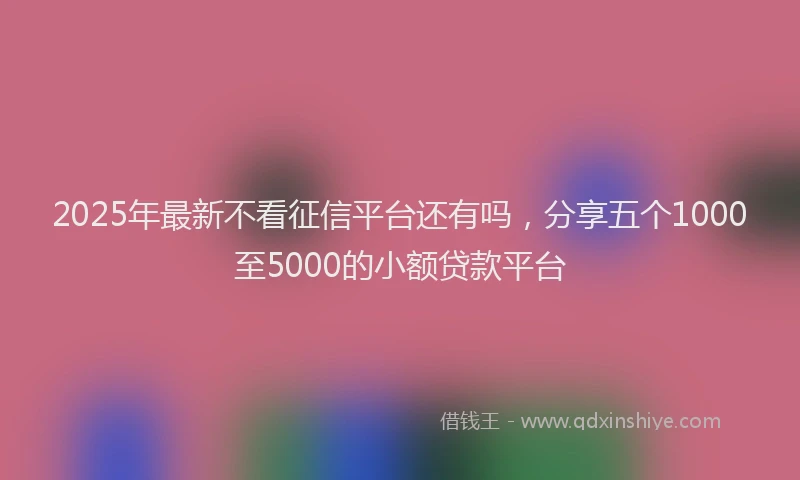 2025年最新不看征信平台还有吗，分享五个1000至5000的小额贷款平台