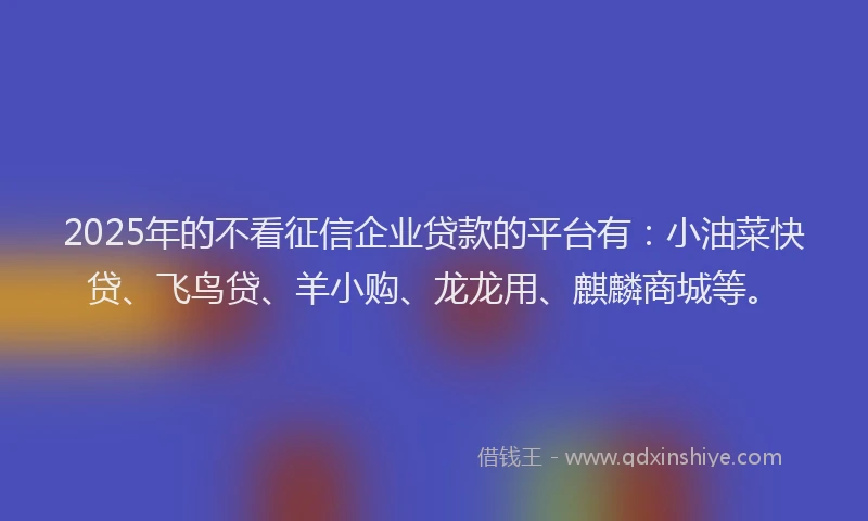 2025年的不看征信企业贷款的平台有：小油菜快贷、飞鸟贷、羊小购、龙龙用、麒麟商城等。