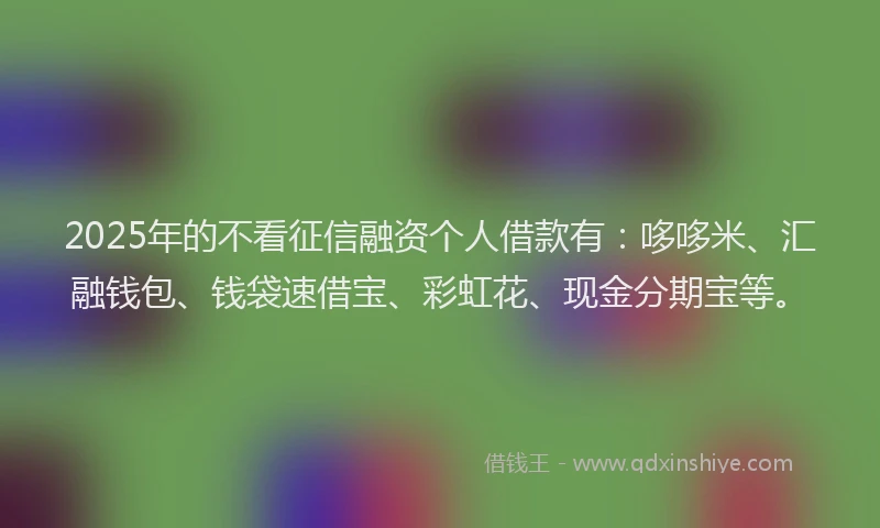 2025年的不看征信融资个人借款有：哆哆米、汇融钱包、钱袋速借宝、彩虹花、现金分期宝等。