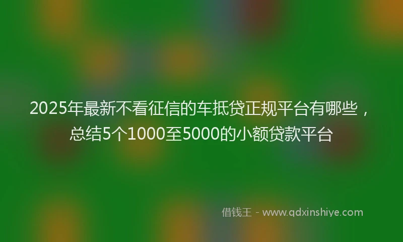 2025年最新不看征信的车抵贷正规平台有哪些，总结5个1000至5000的小额贷款平台