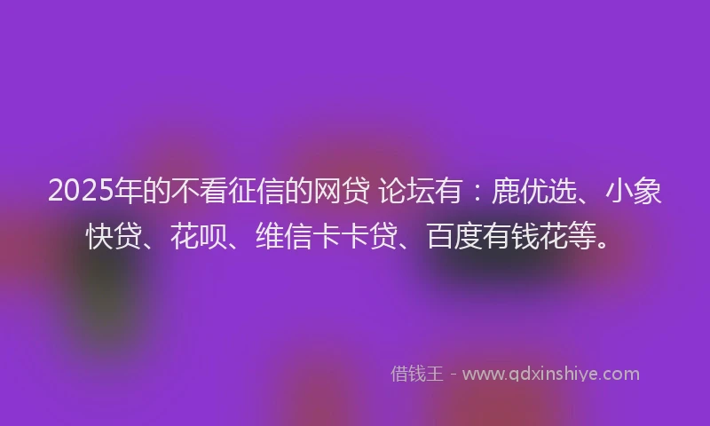 2025年的不看征信的网贷 论坛有：鹿优选、小象快贷、花呗、维信卡卡贷、百度有钱花等。